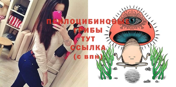 крисы Абдулино