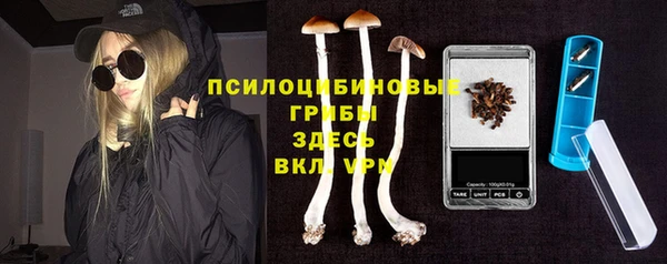 крисы Абдулино