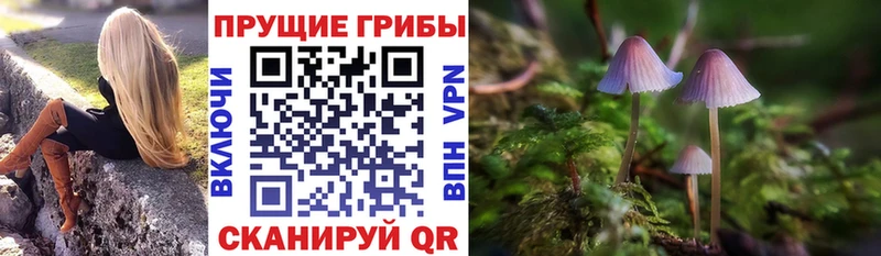 гидра ссылки  Сычёвка  Галлюциногенные грибы MAGIC MUSHROOMS 